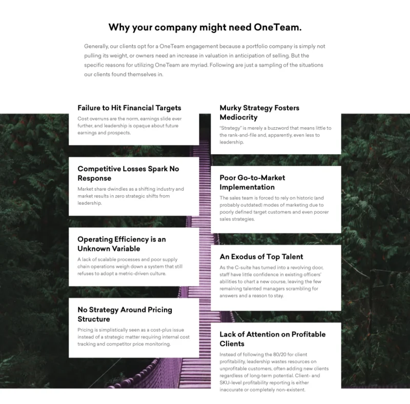 ForteOne why companies choose OneTeam page