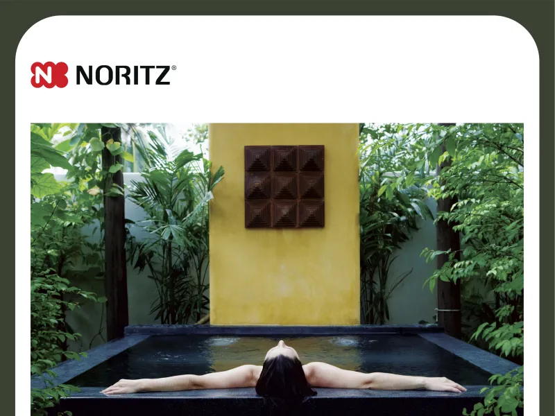 Noritz ad