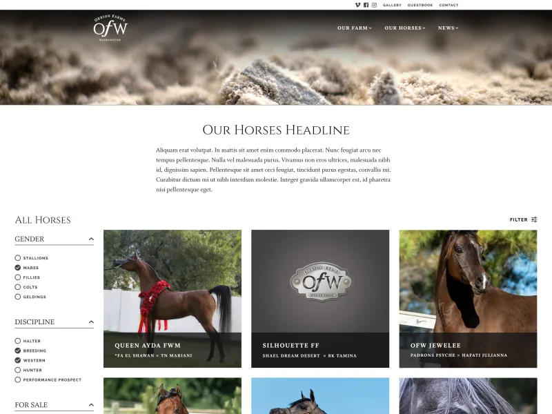 Orrion Farms horses page