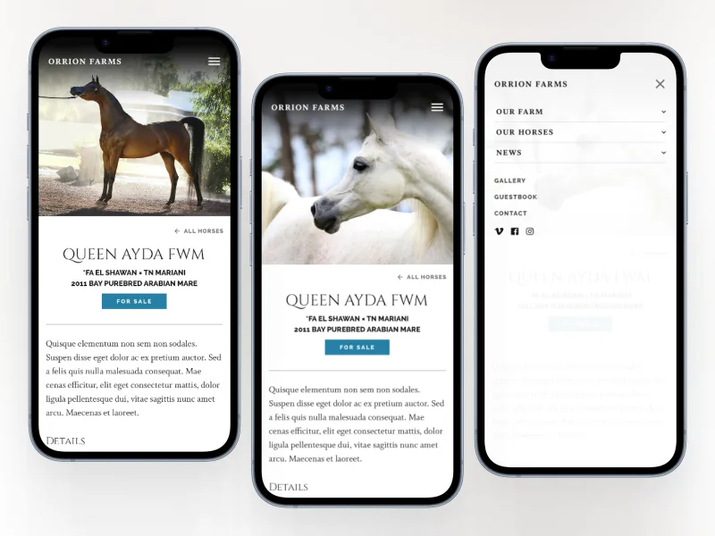 Orrion Farms website on phones