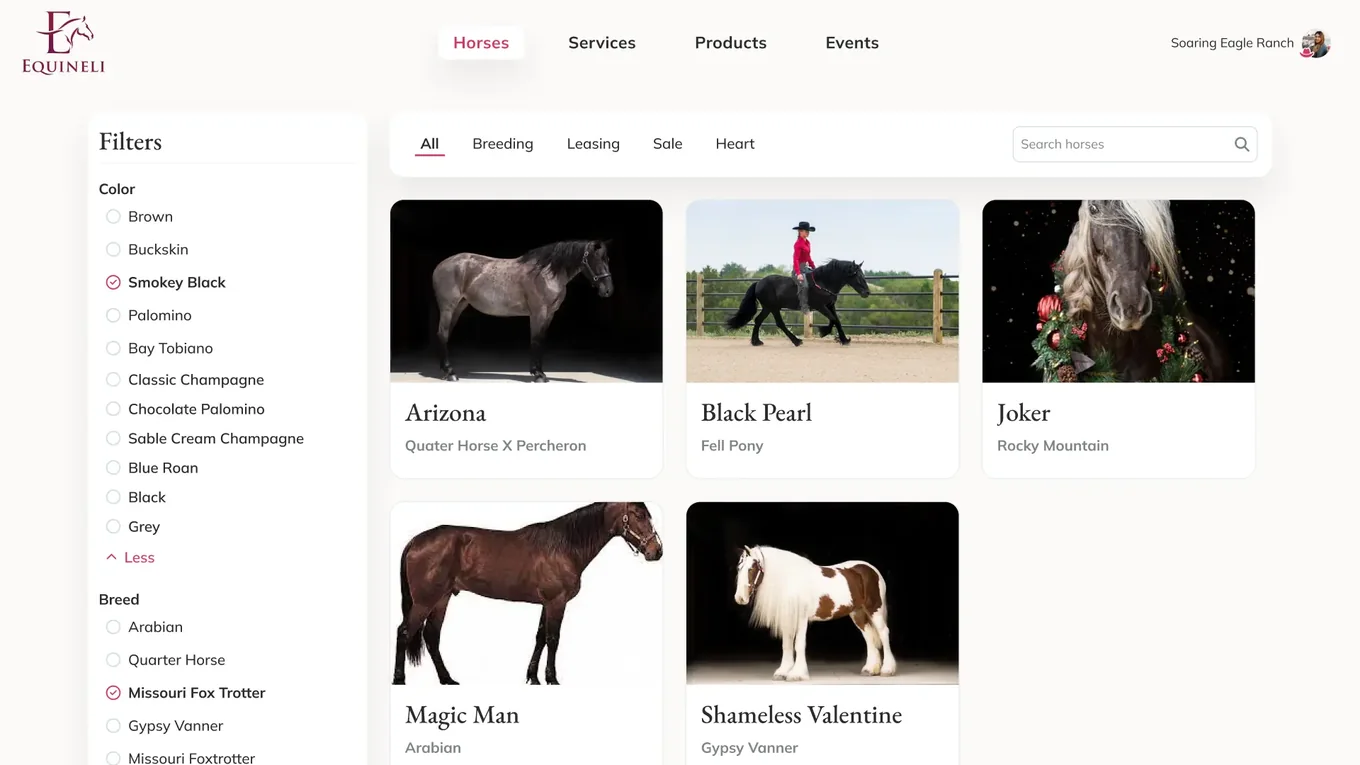 Browsing horses on Equineli, a filter rail for color and breed beside cards for Arizona, Black Pearl, Joker and Magic Man