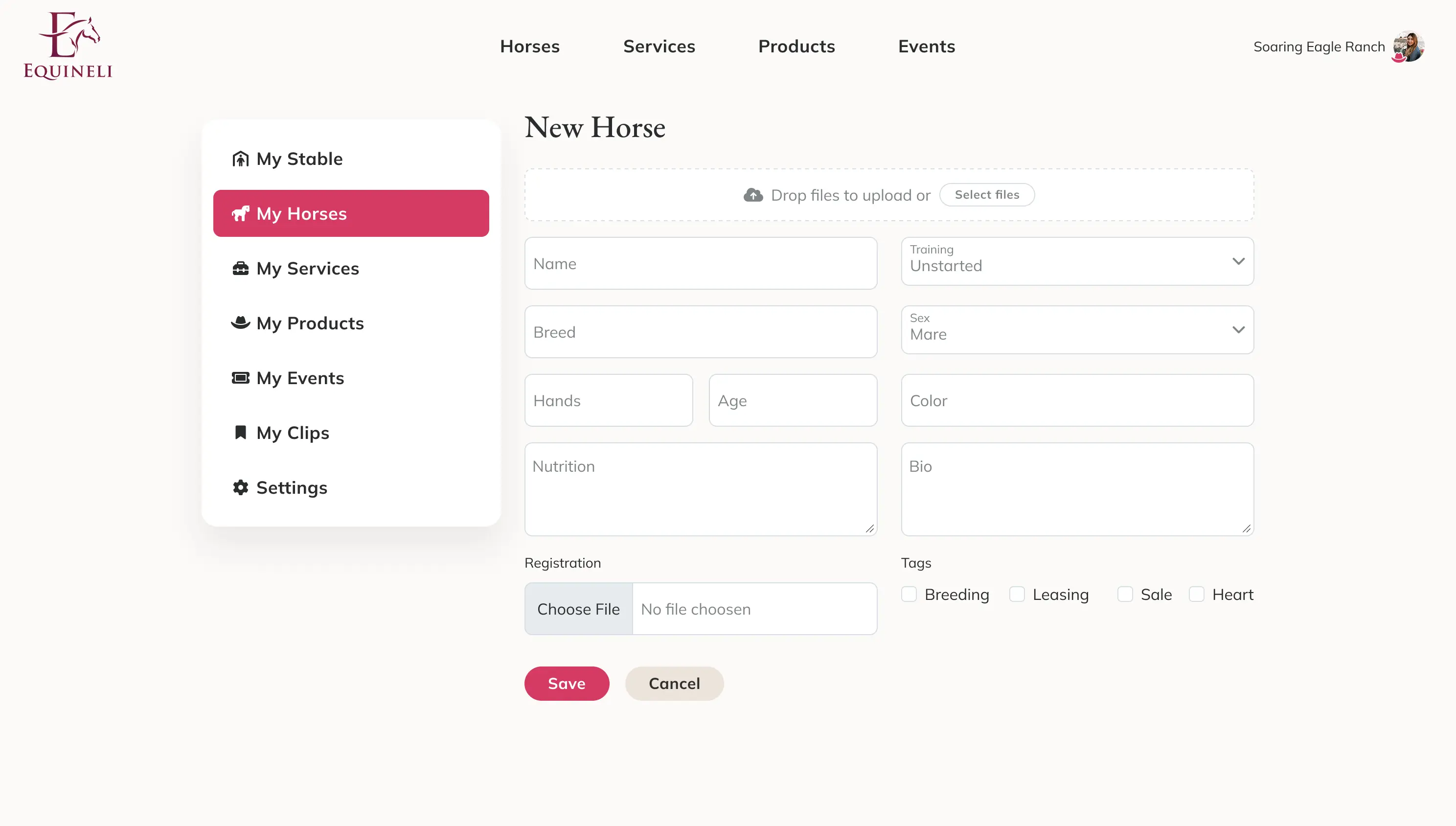 The New Horse form, desktop and phone