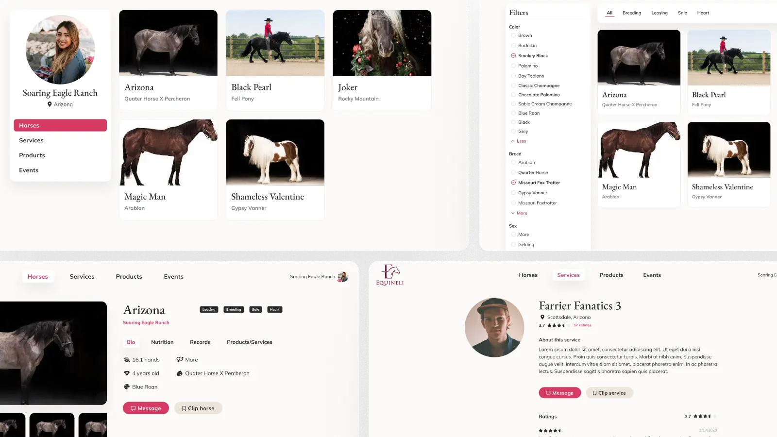 The templates: the ranch profile, horse listings, filters and a service page